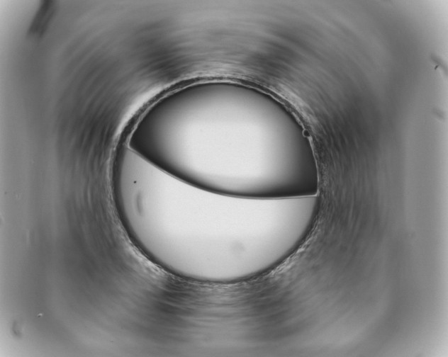 X0000094211120200710260928