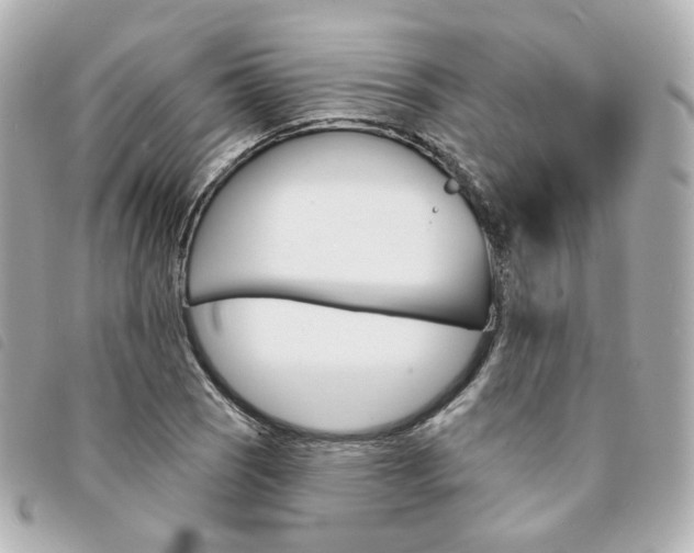 X0000094211121200710260928