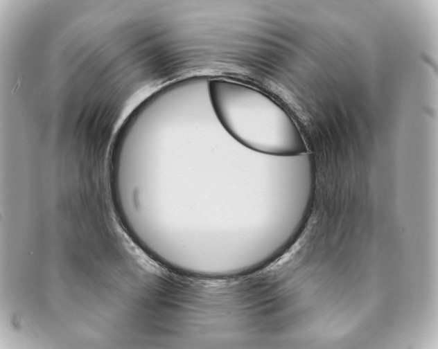 X0000094211122200710260928