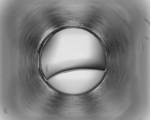 X0000094211123200710260928