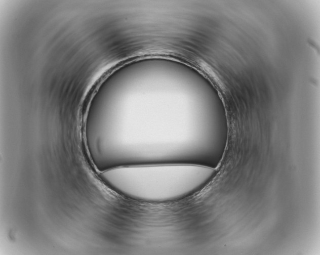 X0000094211124200710260928