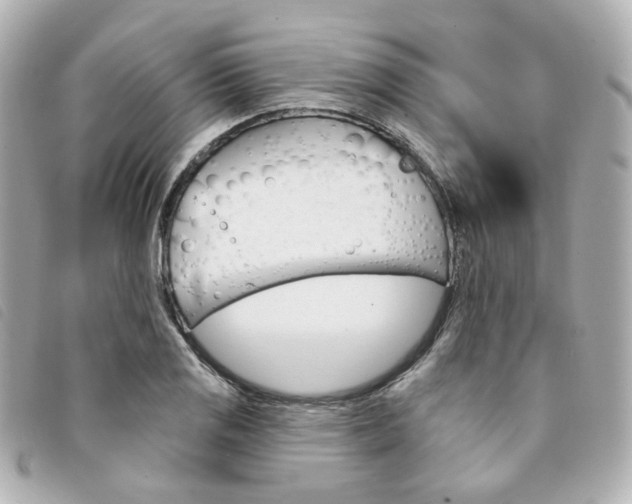 X0000094211125200710260928