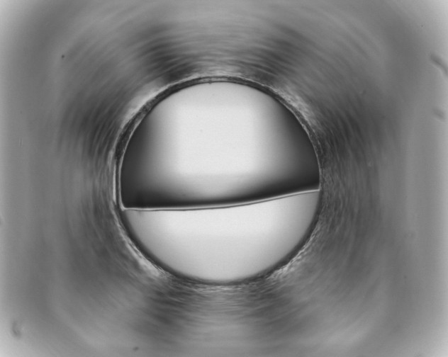 X0000094211127200710260928