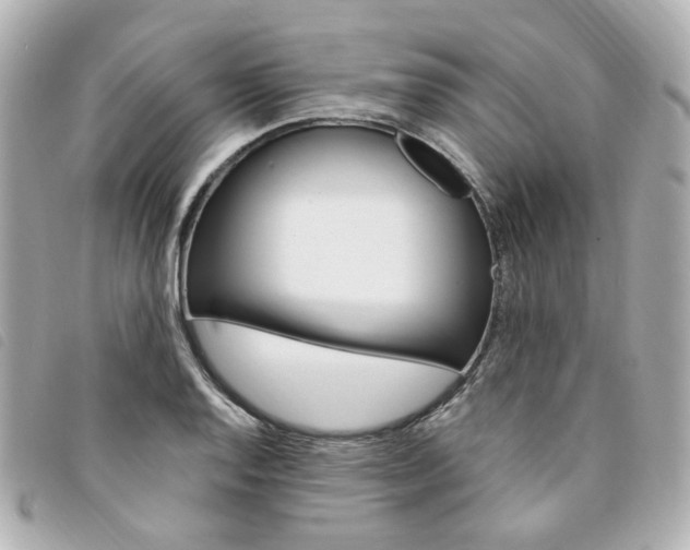 X0000094211128200710260928