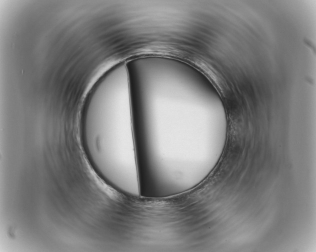 X0000094211131200710260928