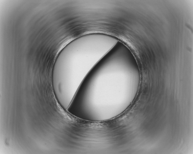 X0000094211137200710260928