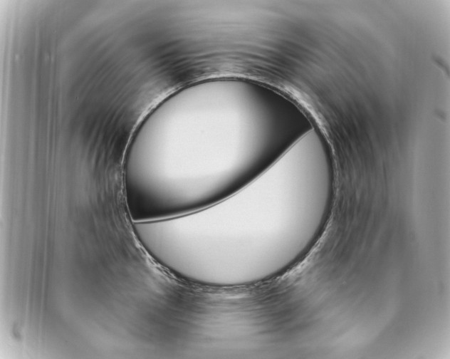 X0000094211145200710260928