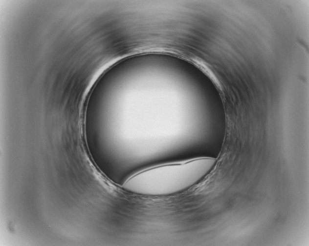 X0000094211148200710260928