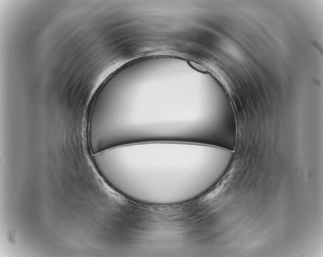 X0000094211149200710260928