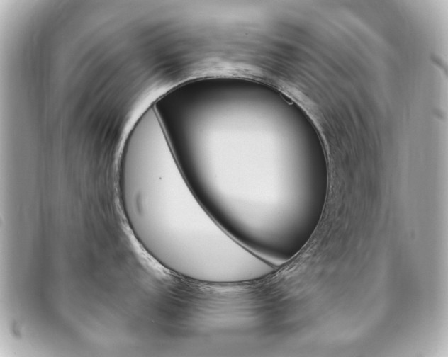 X0000094211152200710260928