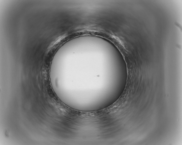 X0000094211159200710260927