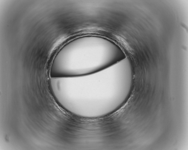X0000094211164200710260927