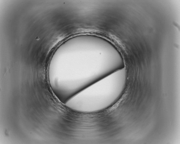 X0000094211165200710260927