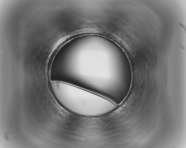 X0000094211168200710260927
