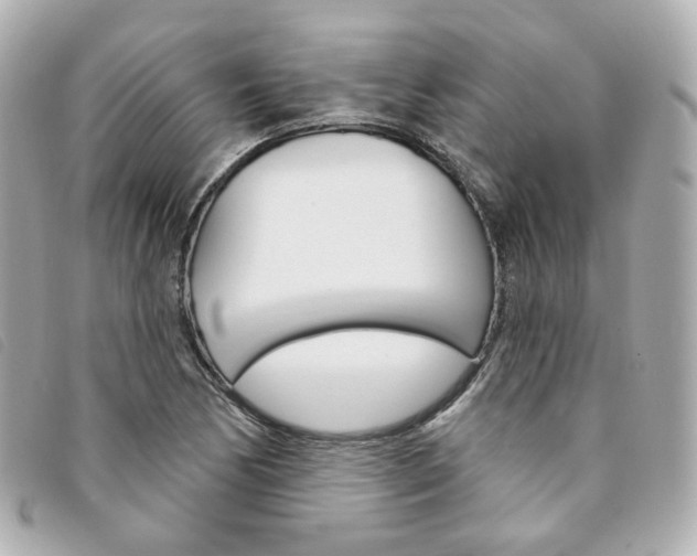 X0000094211170200710260927