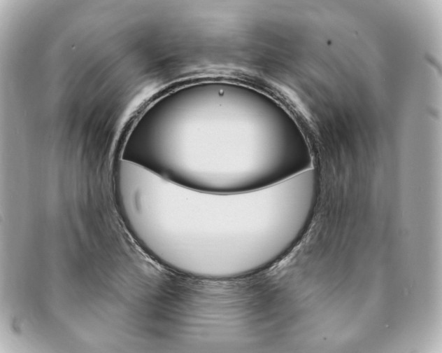 X0000094211172200710260927
