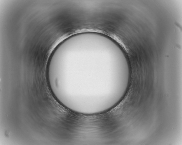 X0000094211173200710260927