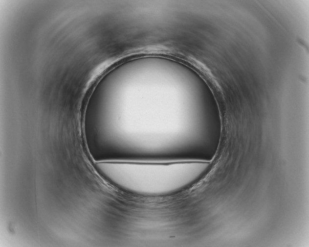 X0000094211176200710260927