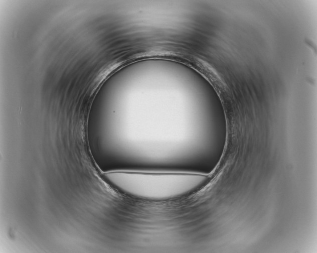 X0000094211177200710260927