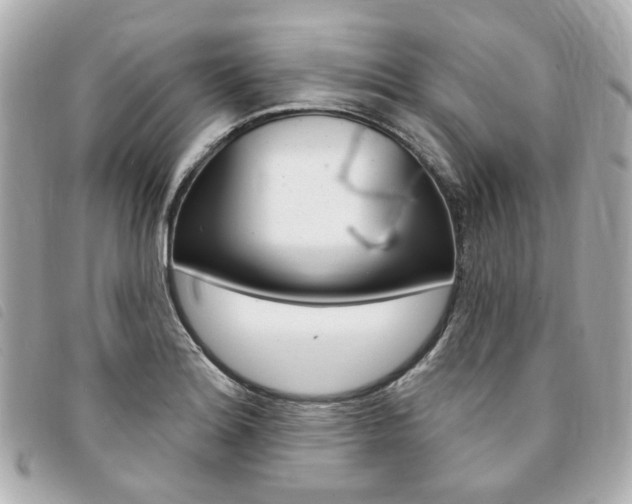 X0000094211180200710260927
