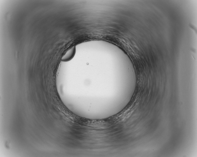 X0000094211201200710260926