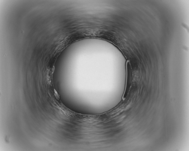 X0000094211202200710260926