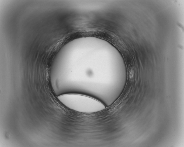 X0000094211204200710260926