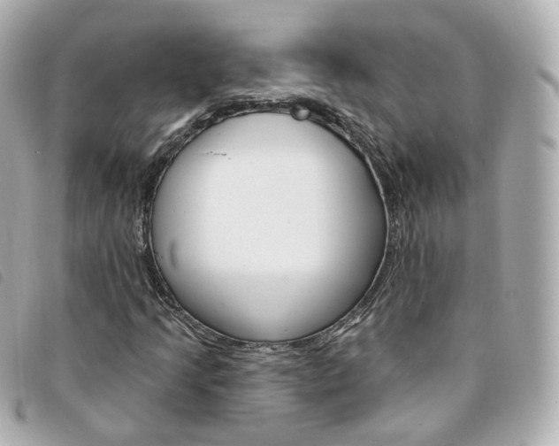 X0000094211205200710260926