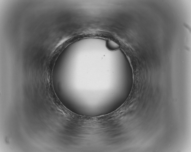 X0000094211206200710260926
