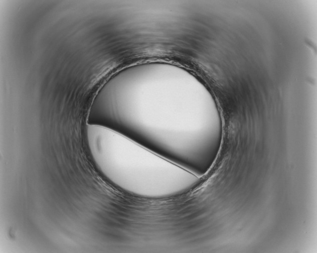 X0000094211209200710260926