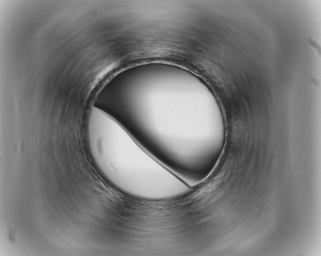X0000094211210200710260926