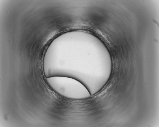 X0000094211211200710260926