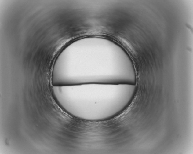 X0000094211212200710260926