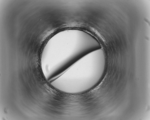 X0000094211213200710260926