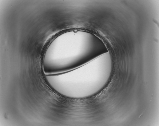 X0000094211214200710260926