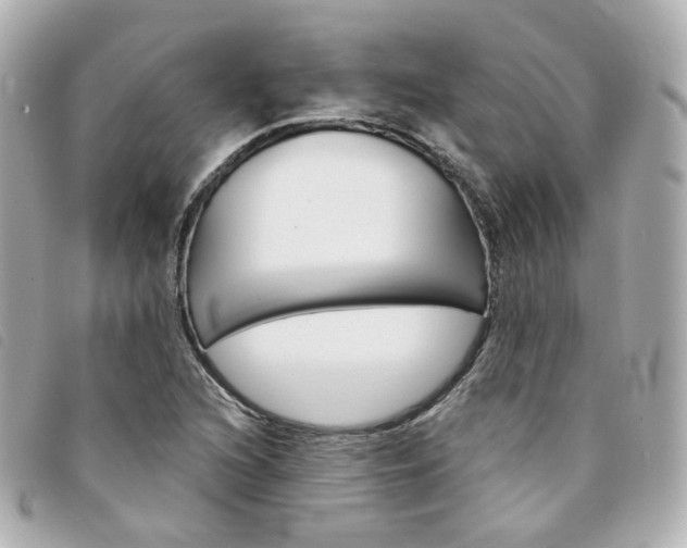 X0000094211216200710260926