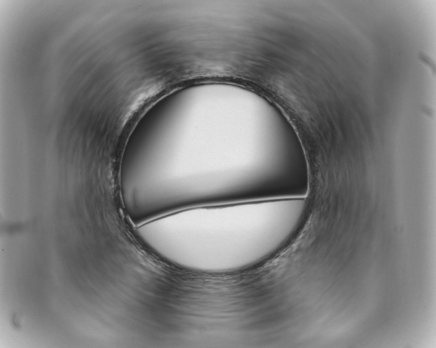 X0000094211218200710260926