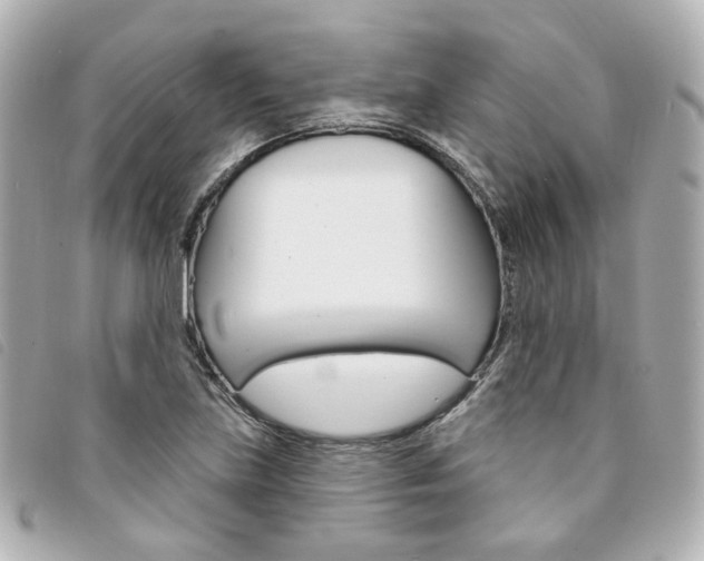 X0000094211219200710260926