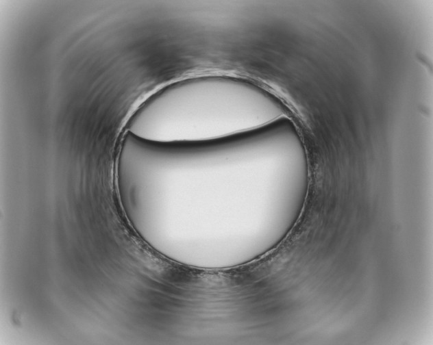 X0000094211220200710260926