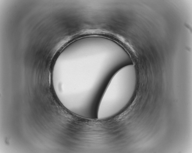 X0000094211221200710260926