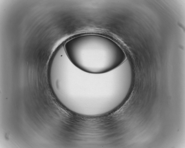 X0000094211222200710260926