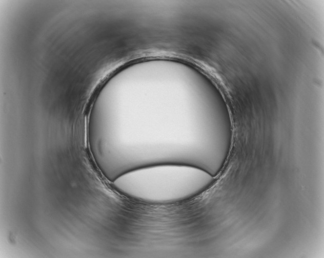 X0000094211223200710260926
