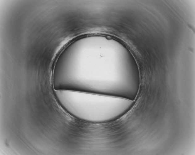 X0000094211224200710260926