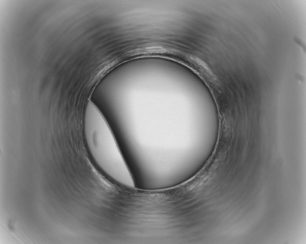 X0000094211225200710260926