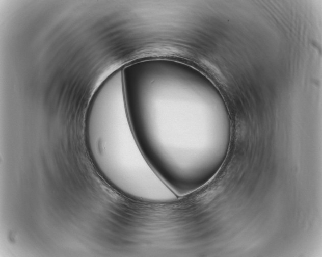 X0000094211226200710260926
