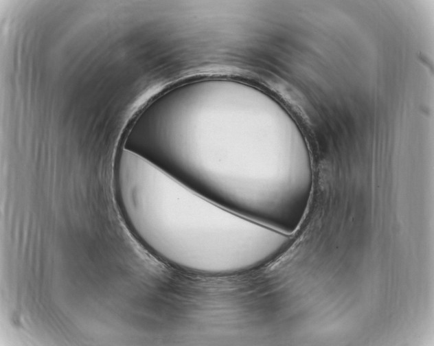 X0000094211229200710260926