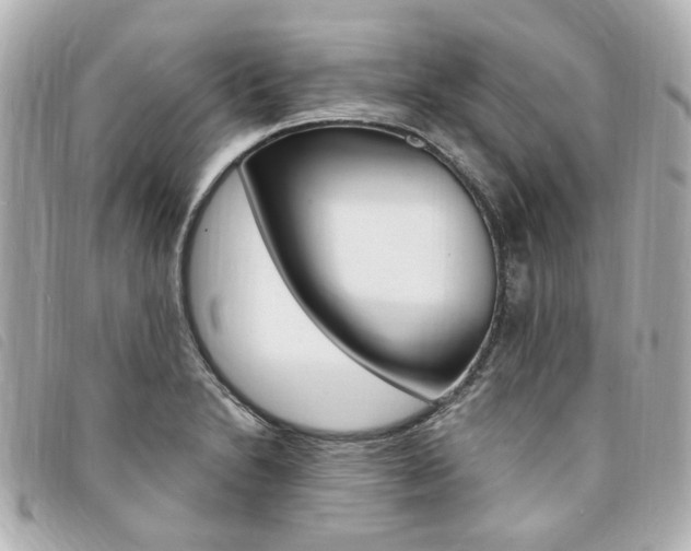 X0000094211230200710260926