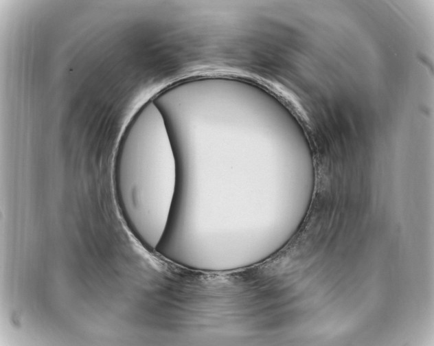 X0000094211231200710260926