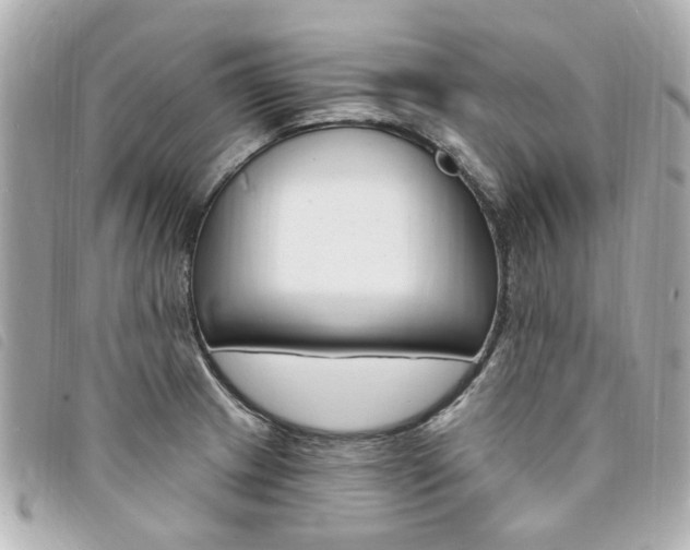 X0000094211233200710260927