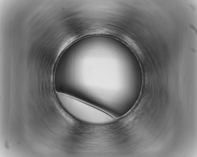 X0000094211234200710260927